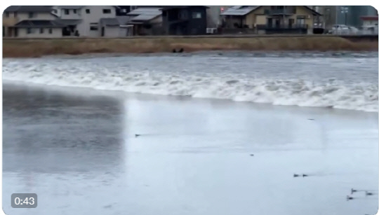 새해 첫날 일본에서 발생한 지진으로 발생한 쓰나미가 강물을 거슬러 올라가고 있다.  사진=X(옛 트위터)